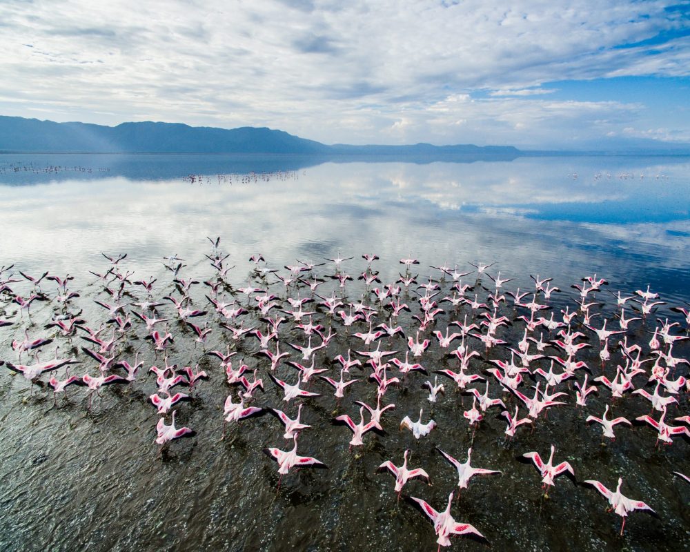 Tanzania Vacation - Lake Manyara National Park - Kanje grand tours